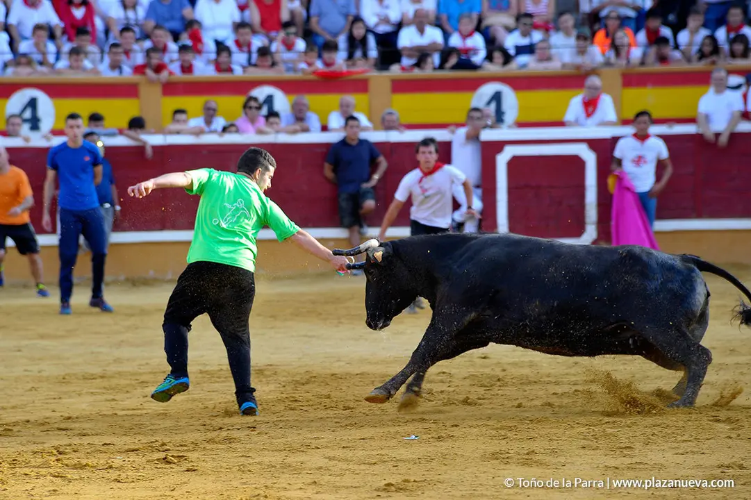 180728_FIESTAS01_60400