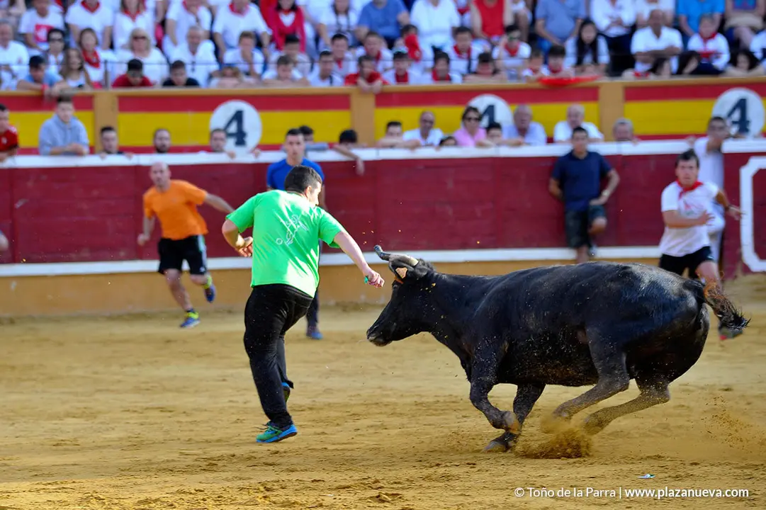 180728_FIESTAS01_60402