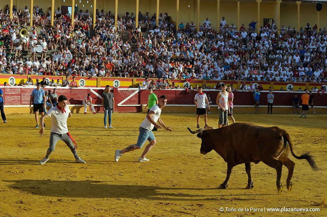 180728_FIESTAS01_60463