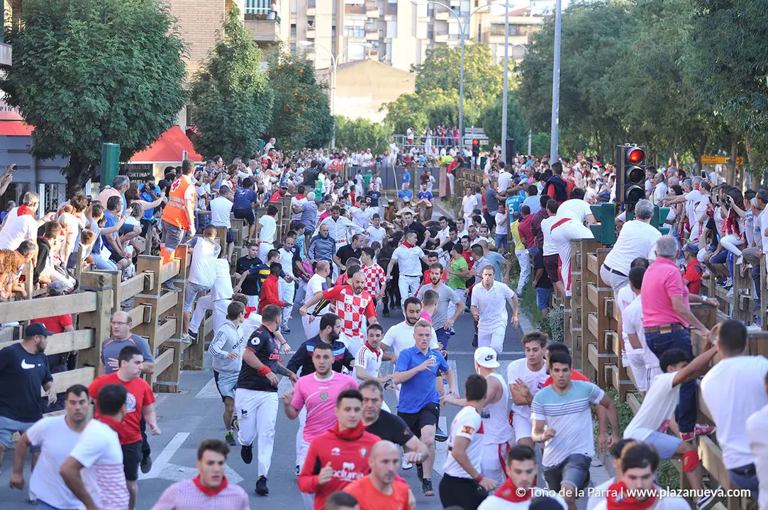 180729_FIESTAS01_62828