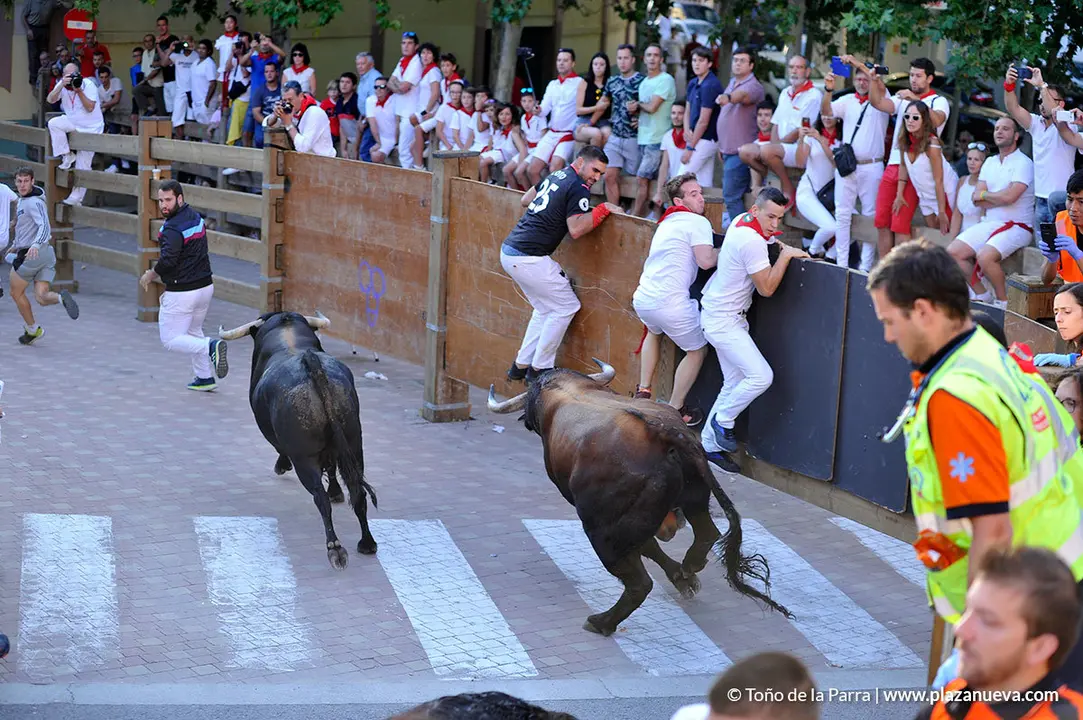 180729_FIESTAS01_62854
