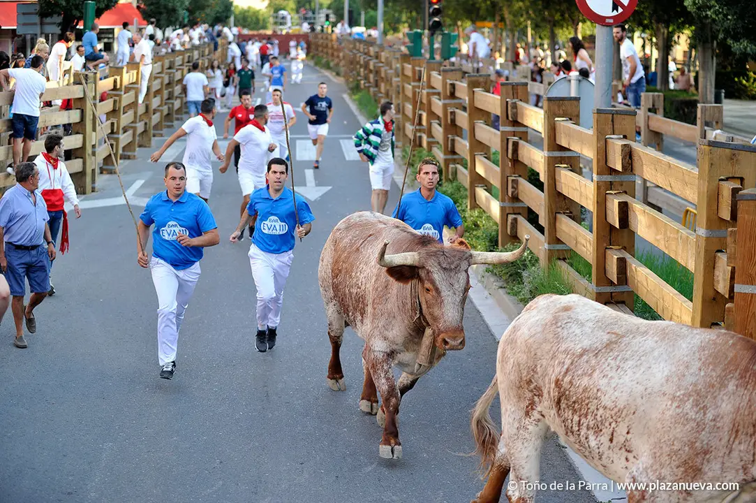 180729_FIESTAS01_62883