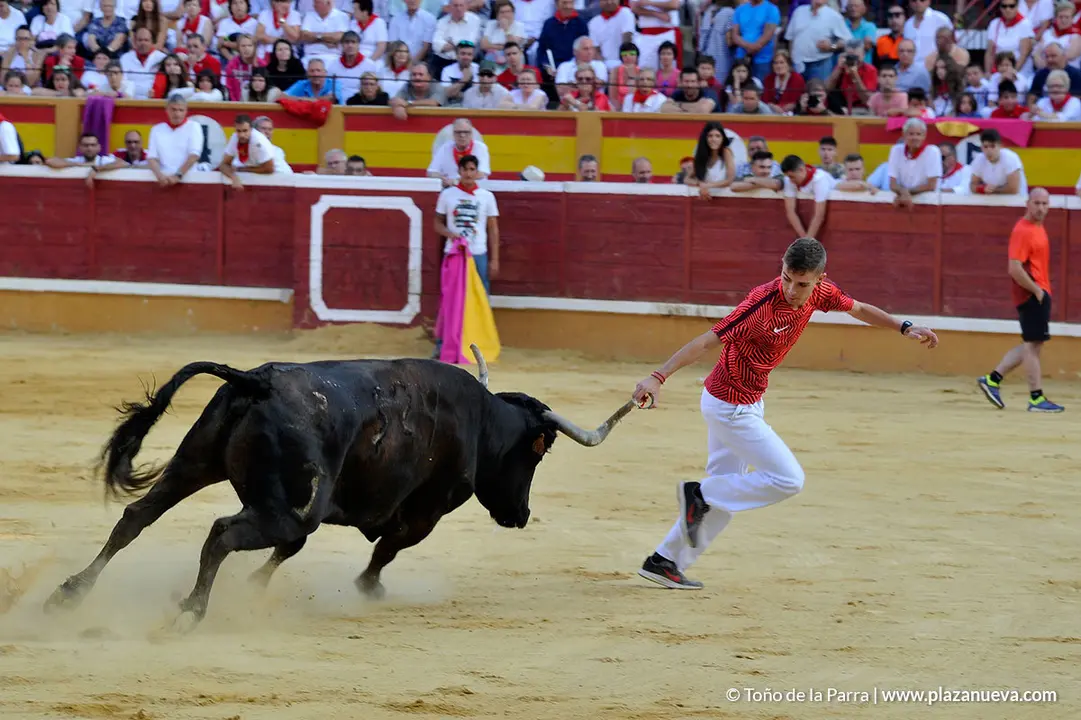 180729_FIESTAS01_62898