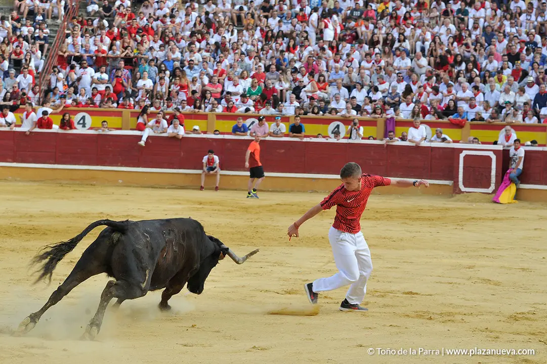 180729_FIESTAS01_62928