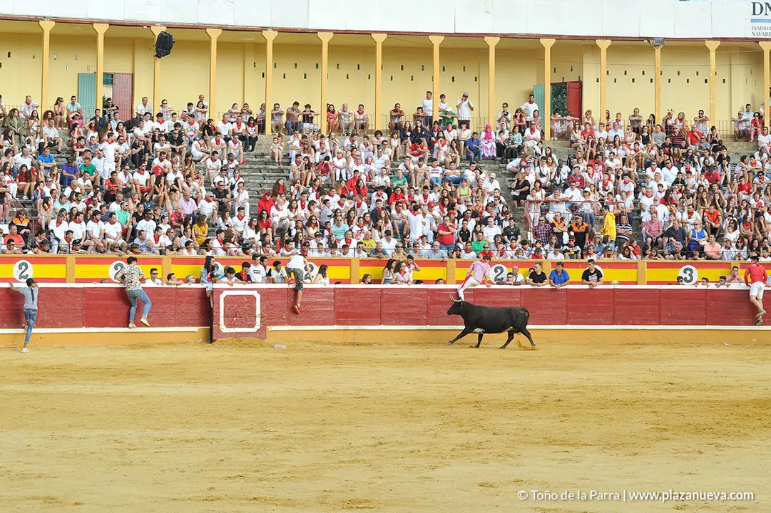 180729_FIESTAS01_62935