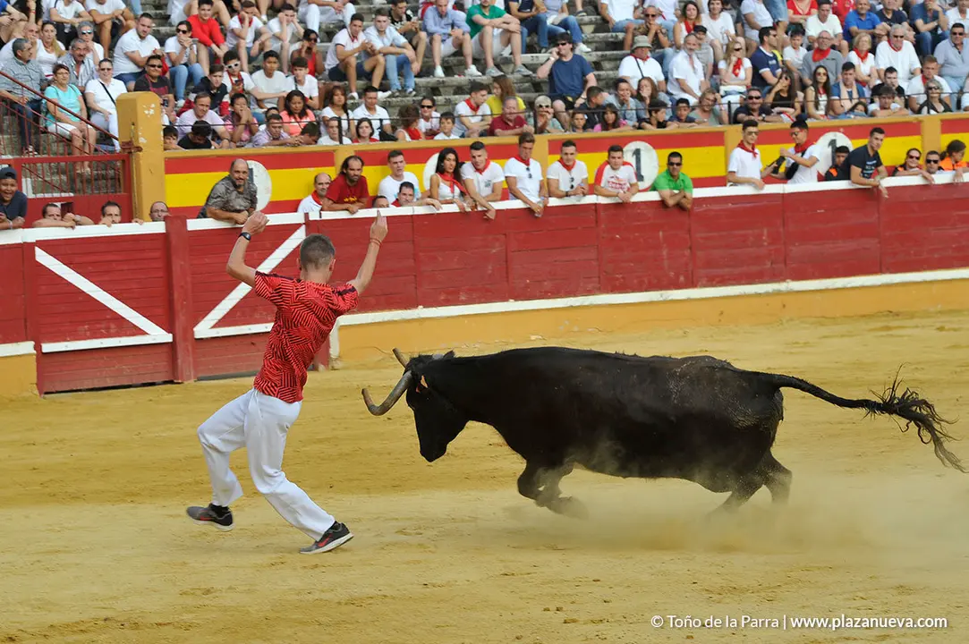 180729_FIESTAS01_62943