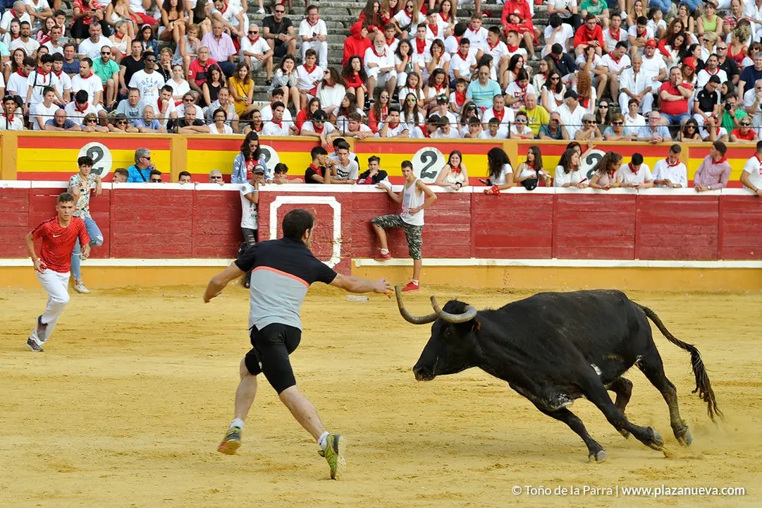 180729_FIESTAS01_62961