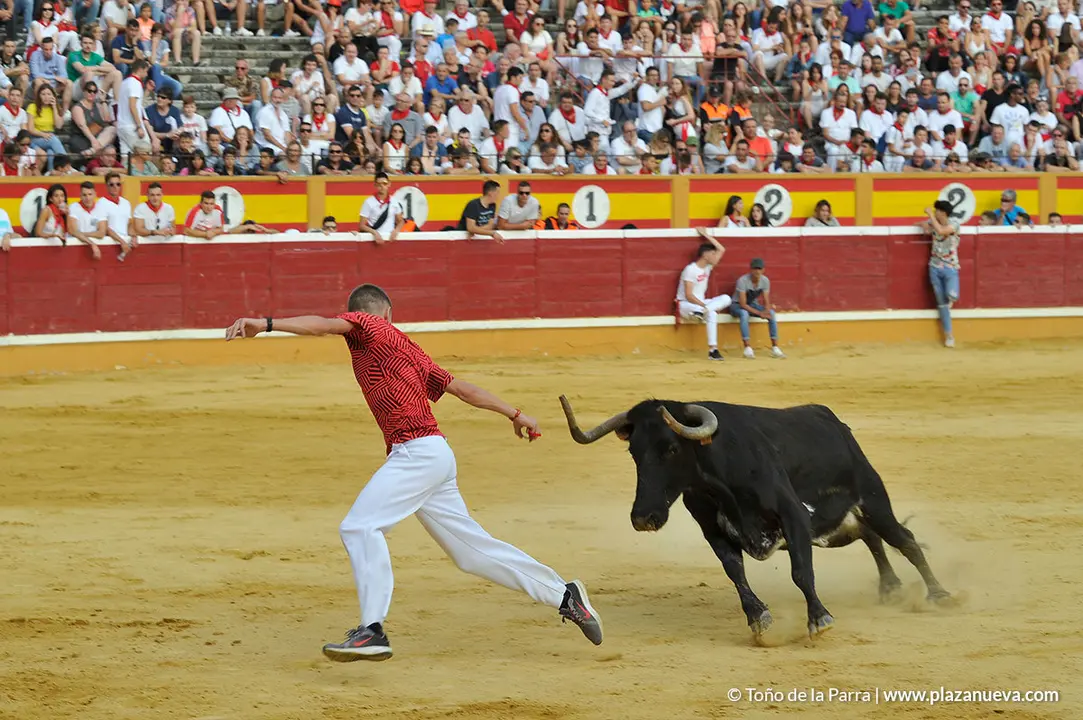 180729_FIESTAS01_62965