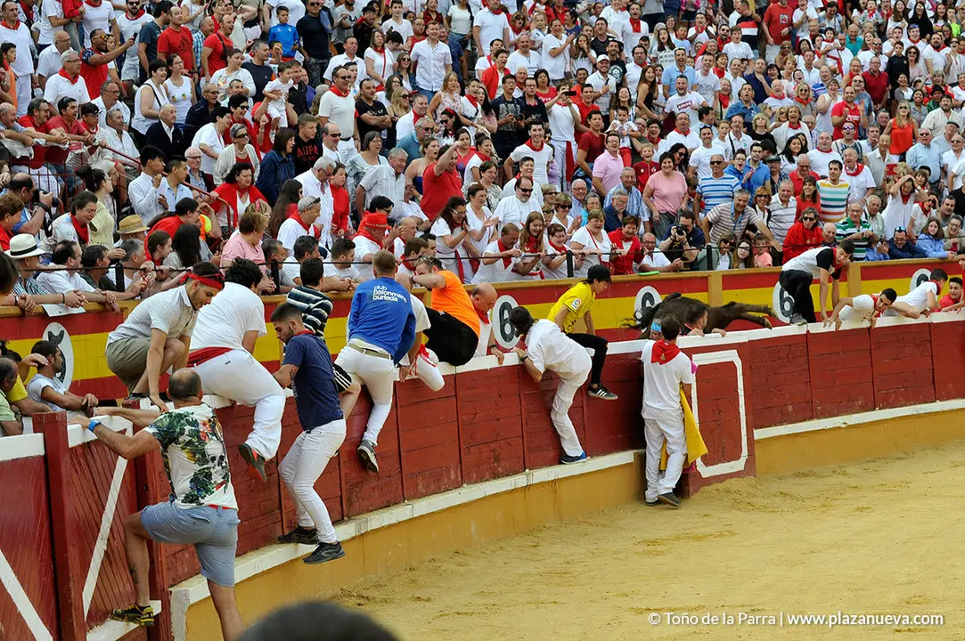 180729_FIESTAS01_62977