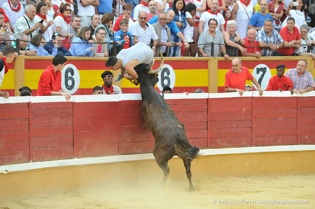 180729_FIESTAS01_62992