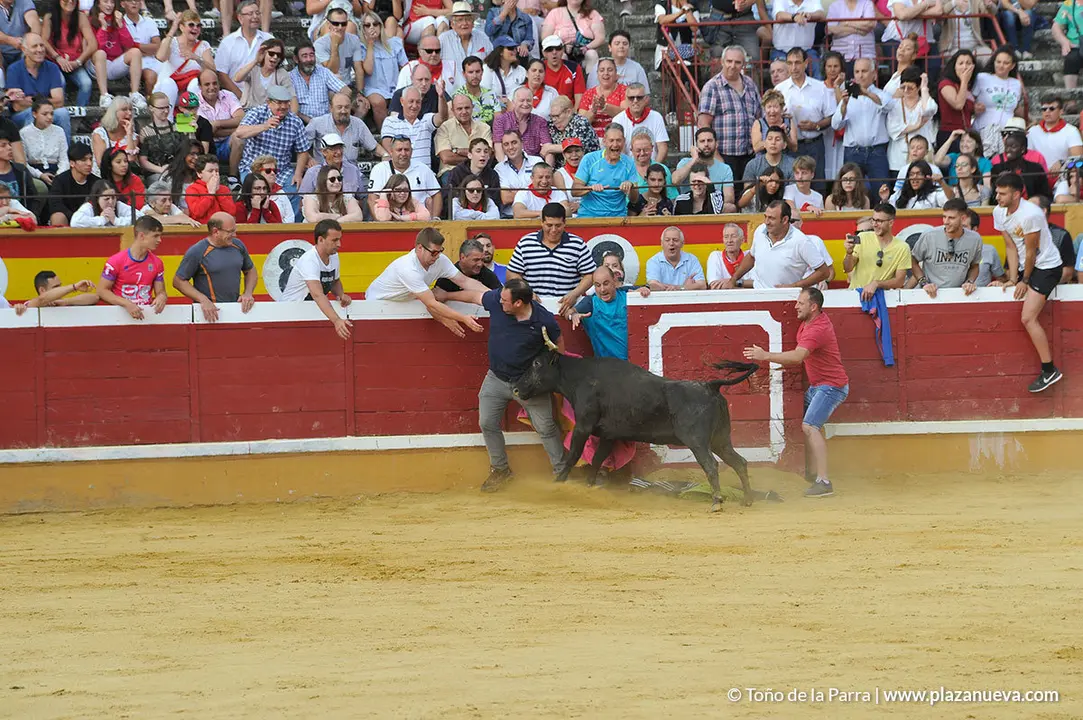 180729_FIESTAS01_63015