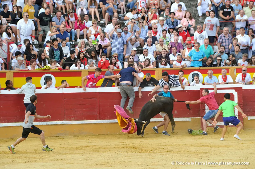 180729_FIESTAS01_63017