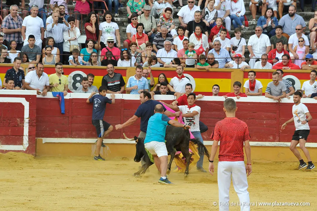 180729_FIESTAS01_63032