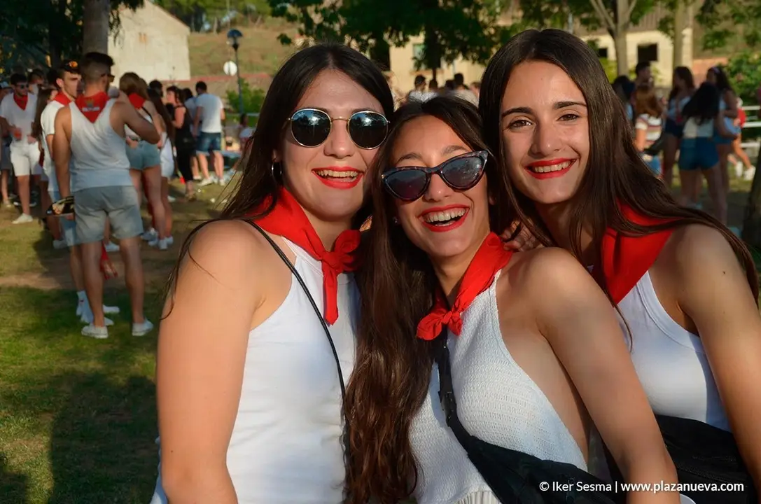Fiestas de Tudela, Fiesta joven 15