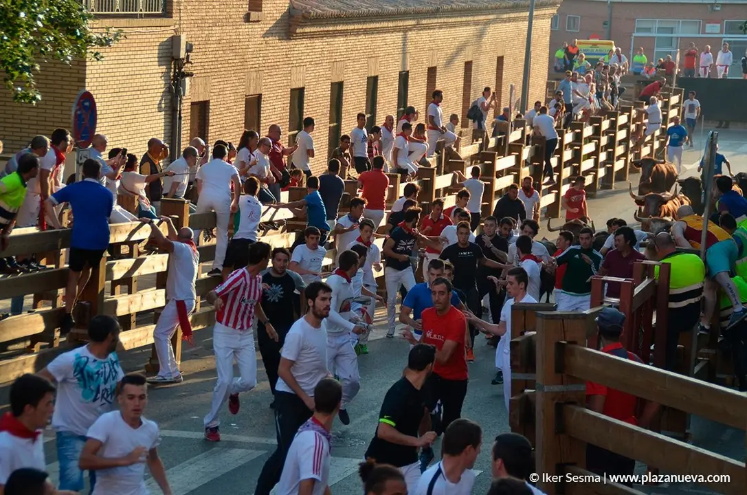 Encierro Tudela, d&iacute;a 30 - 3