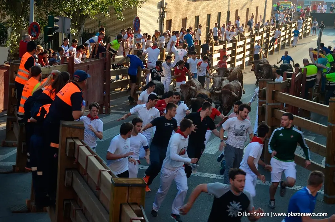 Encierro Tudela, d&iacute;a 30 - 5