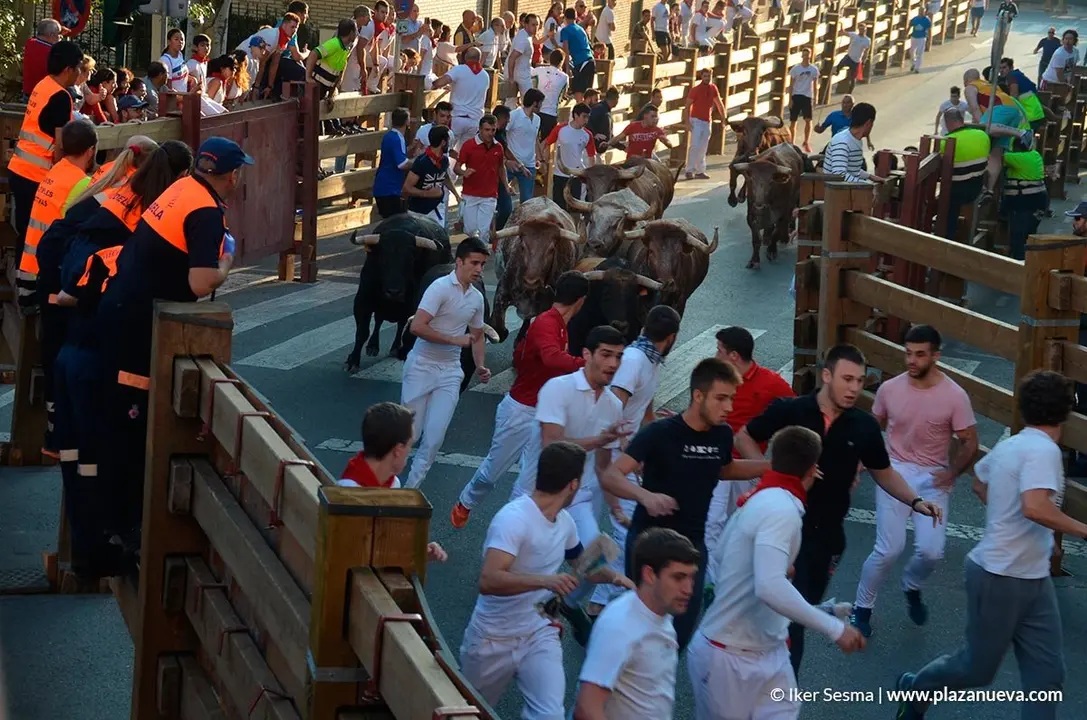Encierro Tudela, d&iacute;a 30 - 6
