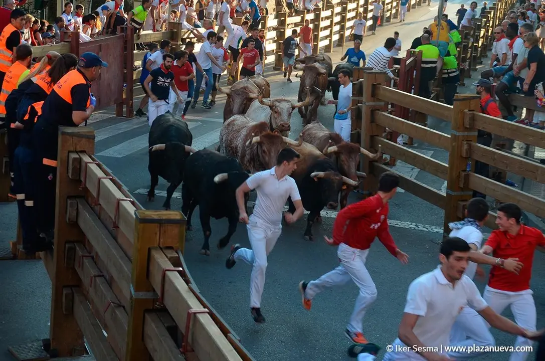 Encierro Tudela, d&iacute;a 30 - 7