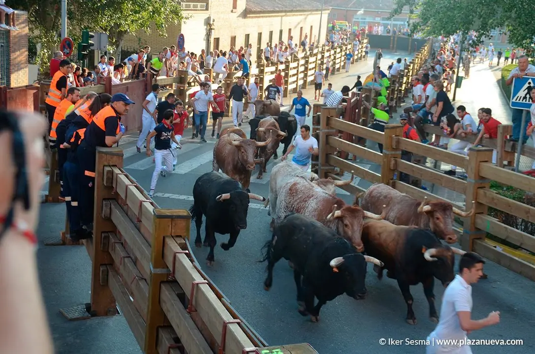 Encierro Tudela, d&iacute;a 30 - 8