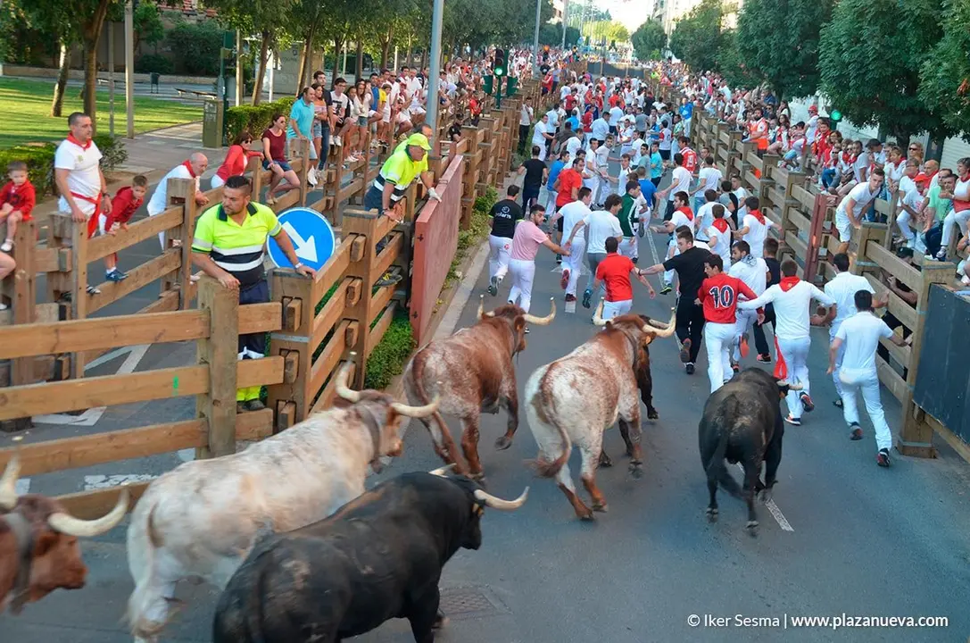 Encierro Tudela, d&iacute;a 30 - 11