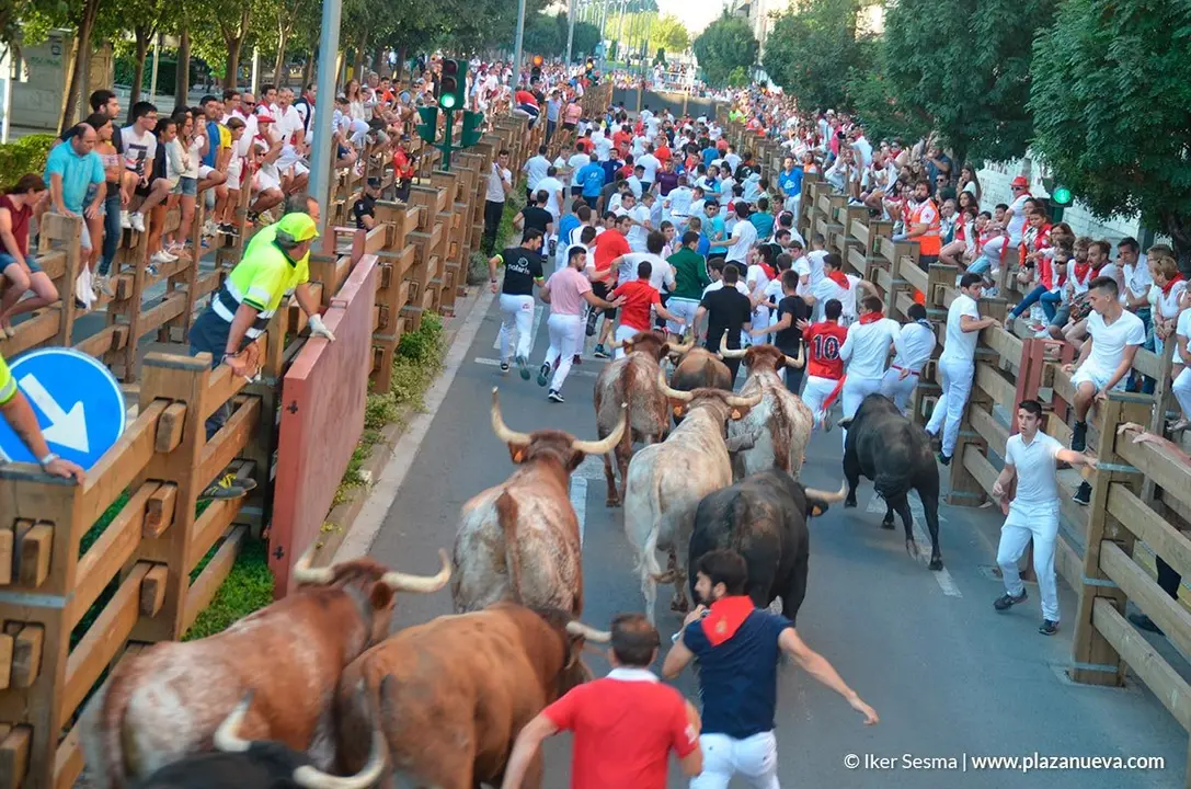 Encierro Tudela, d&iacute;a 30 - 13
