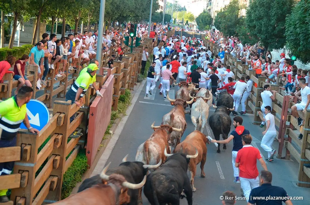 Encierro Tudela, d&iacute;a 30 - 14