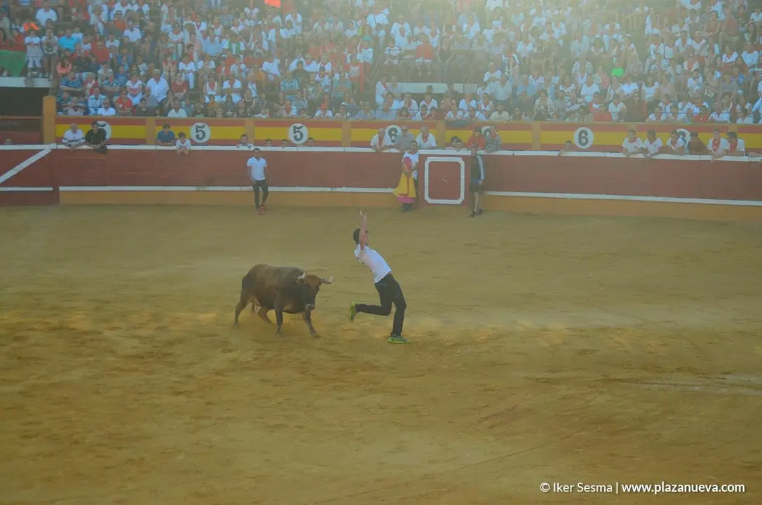 Vaquillas Tudela, d&iacute;a 30 - 1