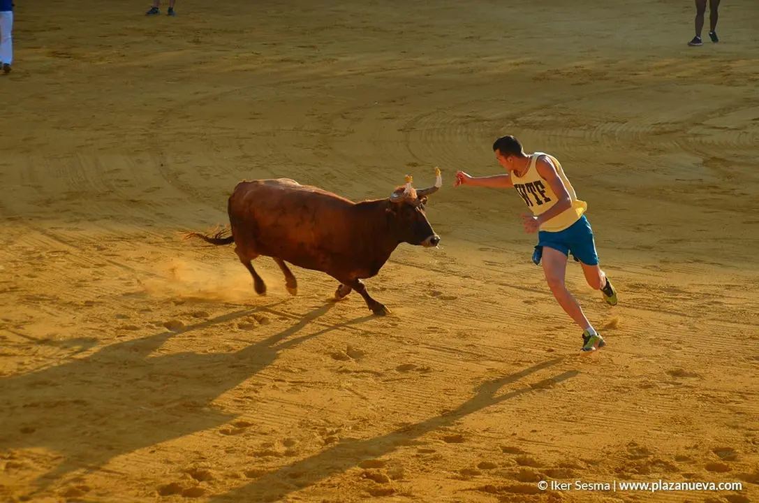 Vaquillas Tudela, d&iacute;a 30 - 2