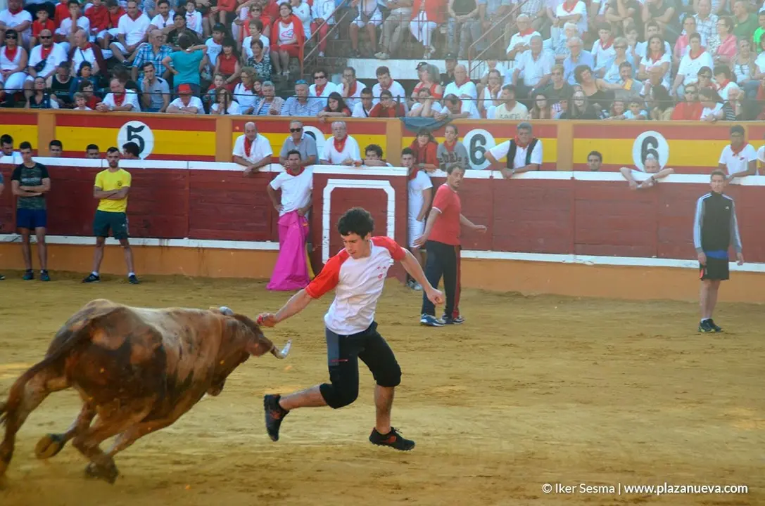 Vaquillas Tudela, d&iacute;a 30 - 4