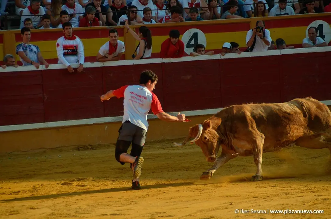 Vaquillas Tudela, d&iacute;a 30 - 5