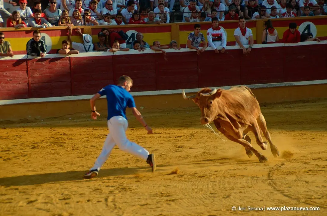 Vaquillas Tudela, d&iacute;a 30 - 6