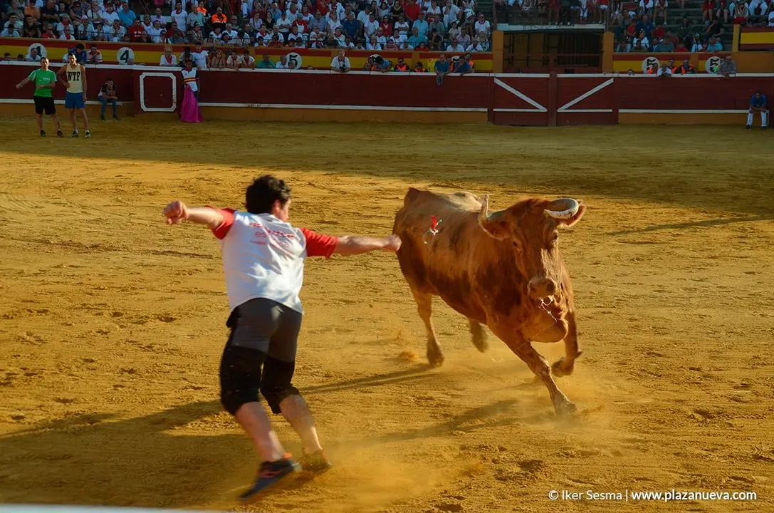 Vaquillas Tudela, d&iacute;a 30 - 7