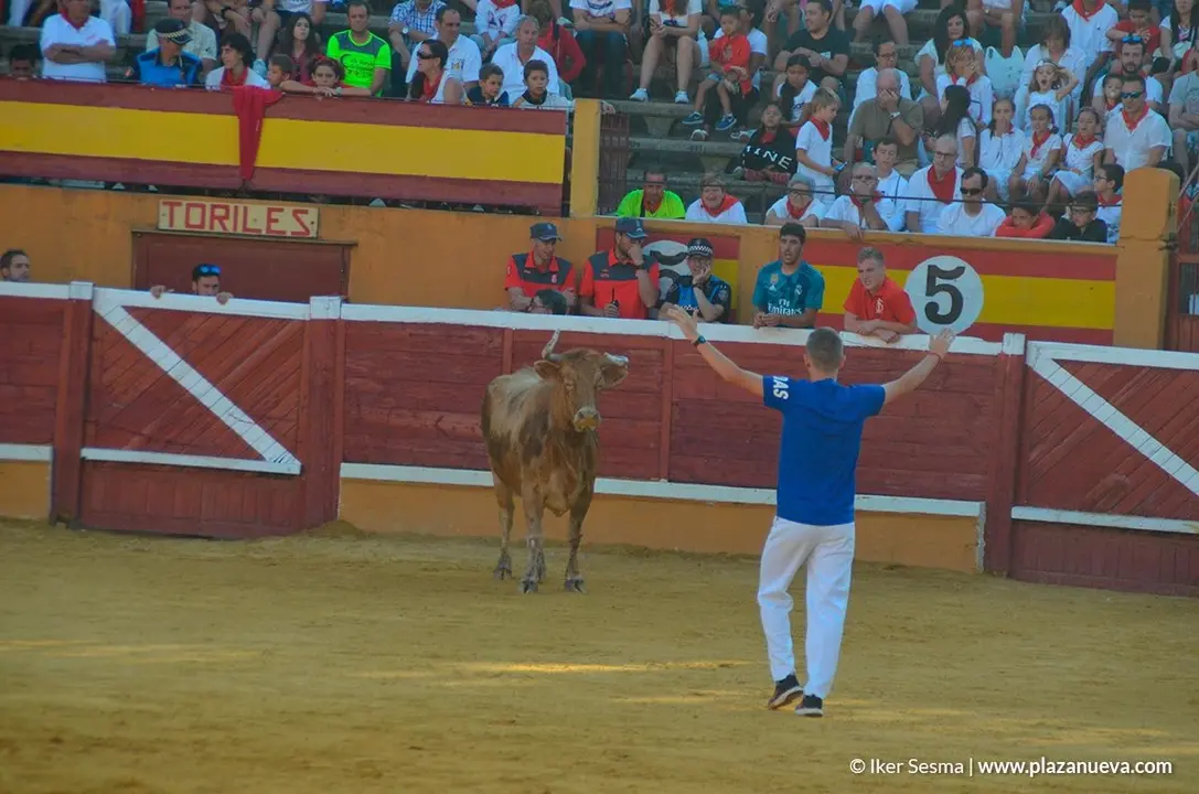 Vaquillas Tudela, d&iacute;a 30 - 8