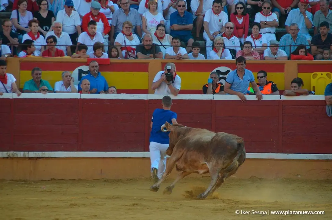 Vaquillas Tudela, d&iacute;a 30 - 9