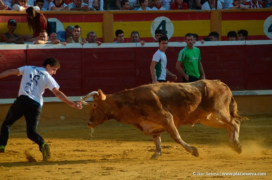 Vaquillas Tudela, d&iacute;a 30 - 10