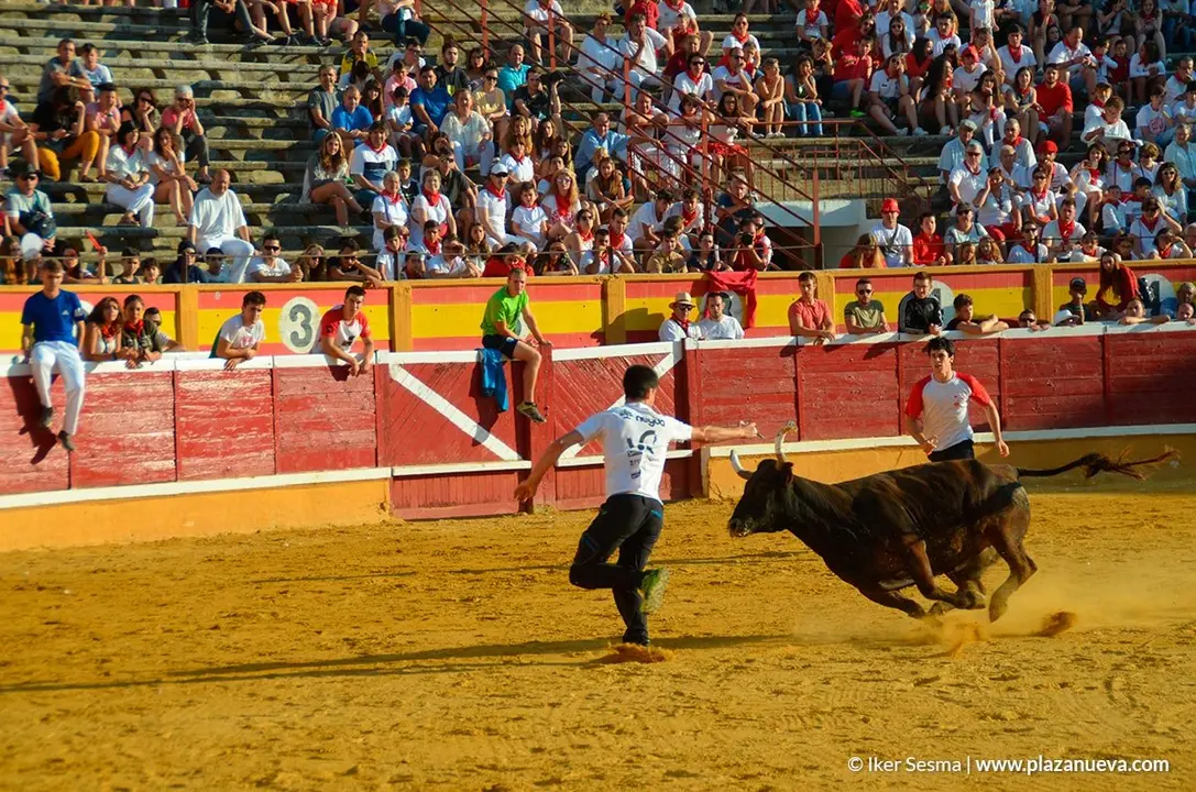 Vaquillas Tudela, d&iacute;a 30 - 11