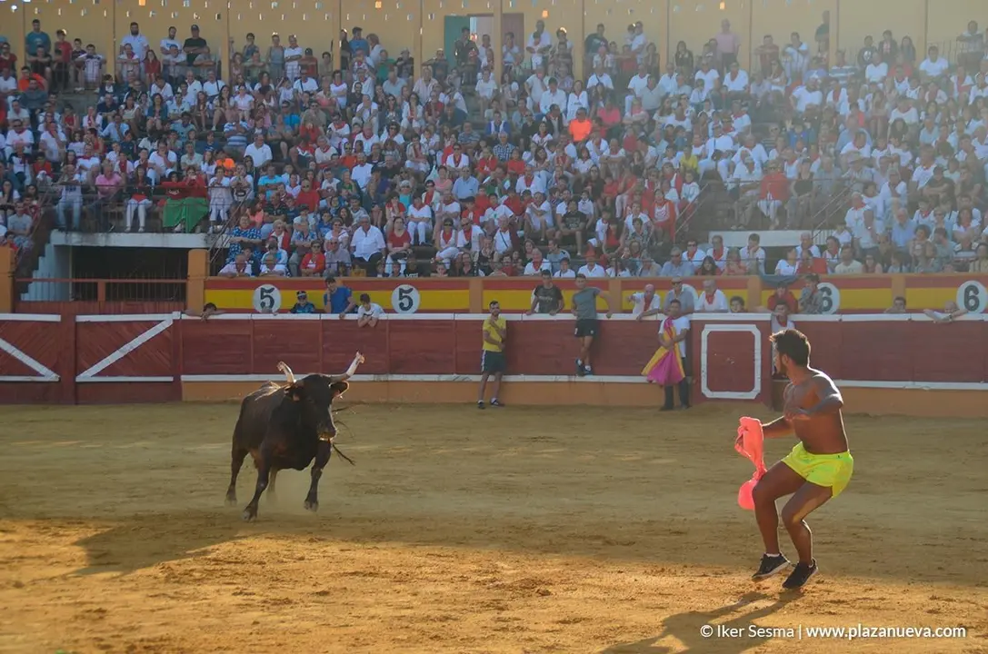 Vaquillas Tudela, d&iacute;a 30 - 12