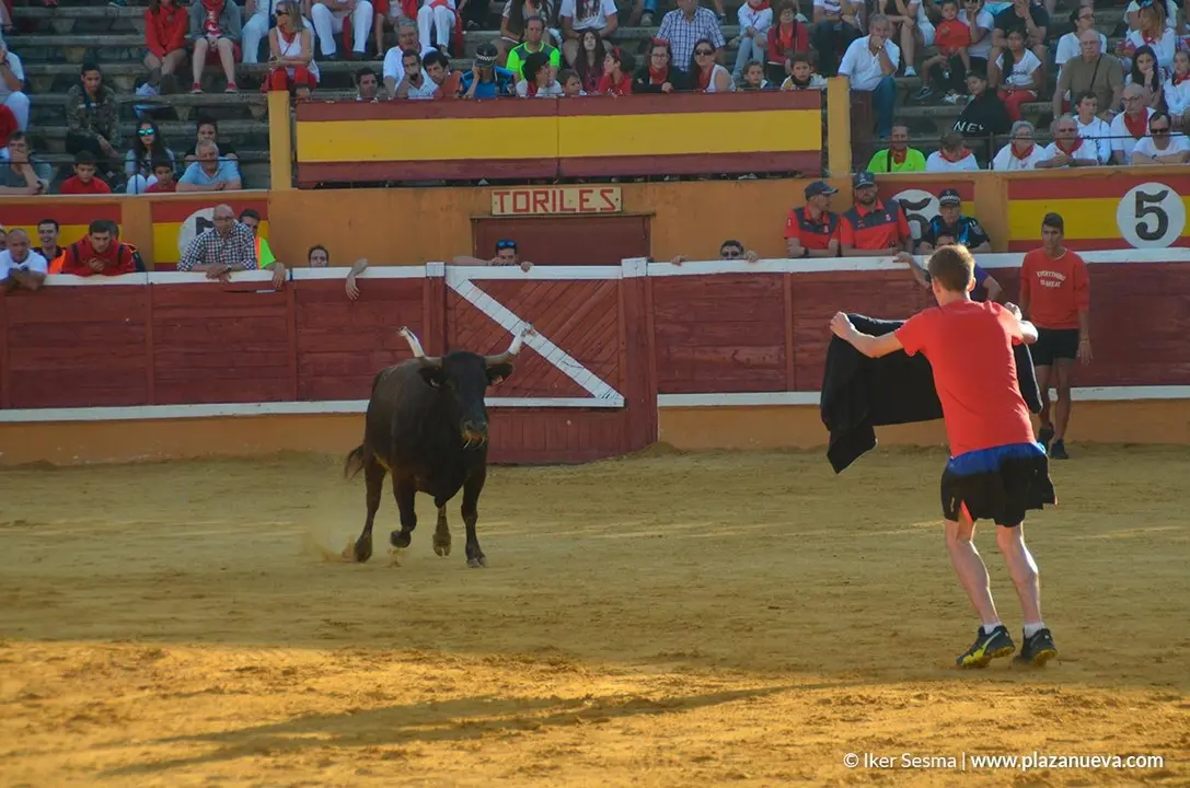 Vaquillas Tudela, d&iacute;a 30 - 13