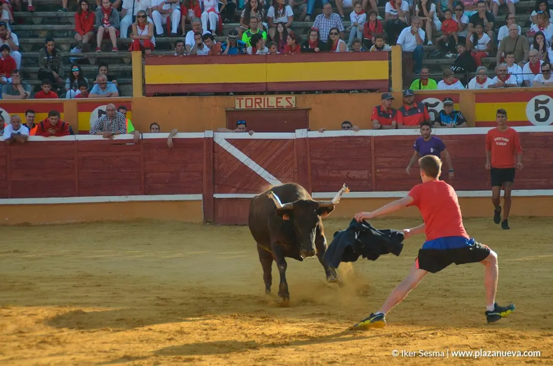 Vaquillas Tudela, d&iacute;a 30 - 14