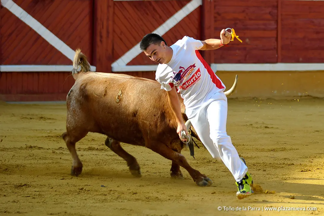 180726_FIESTAS03_58844