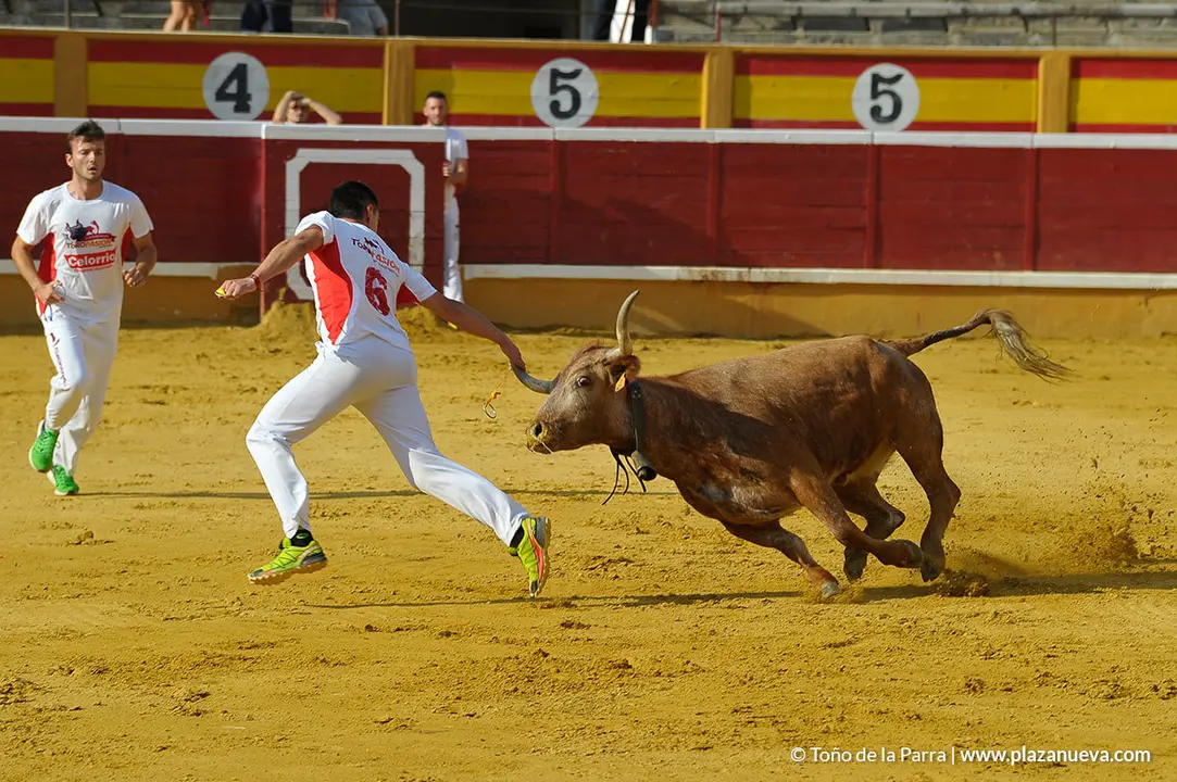 180726_FIESTAS03_58877