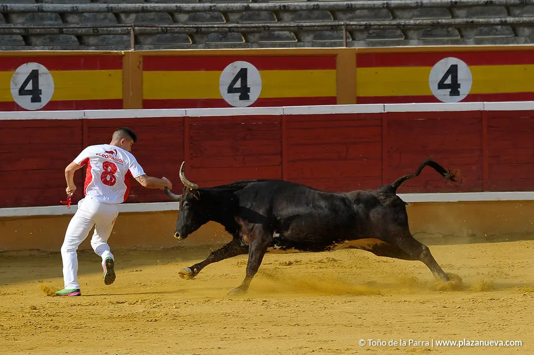 180726_FIESTAS03_58910