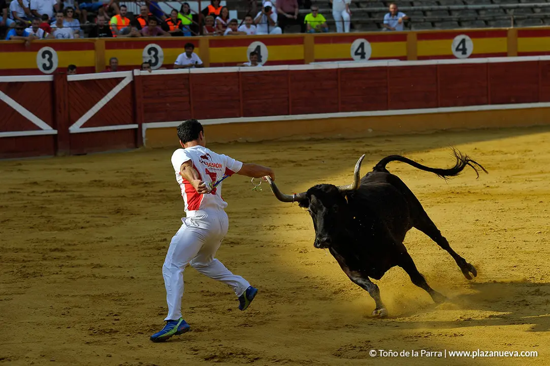 180726_FIESTAS03_58921
