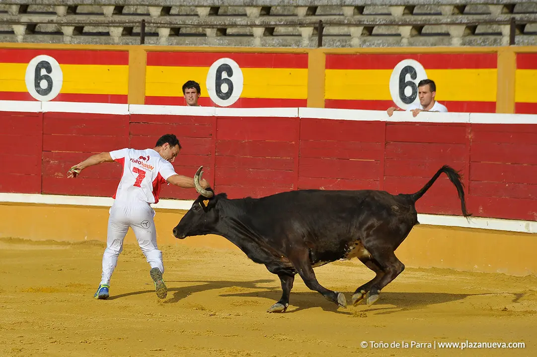 180726_FIESTAS03_58944