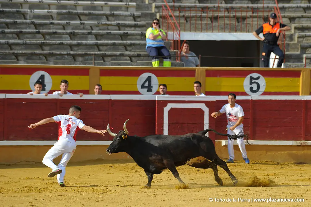 180726_FIESTAS03_58972