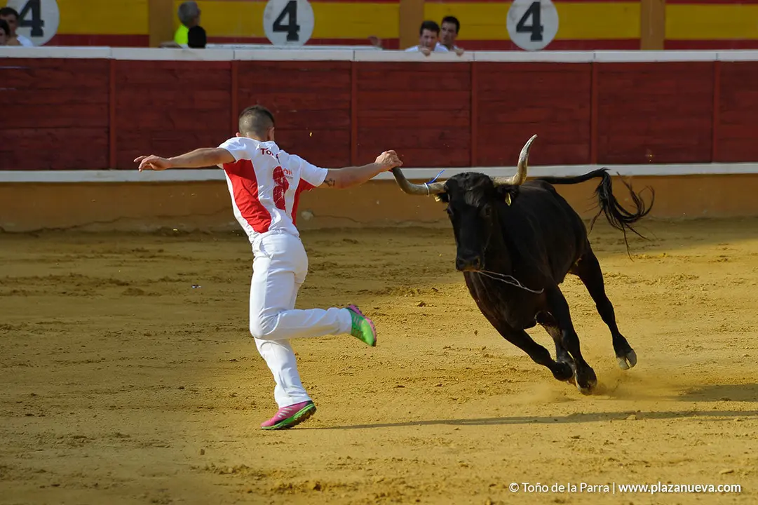 180726_FIESTAS03_58981