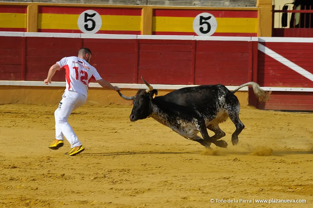 180726_FIESTAS03_59041