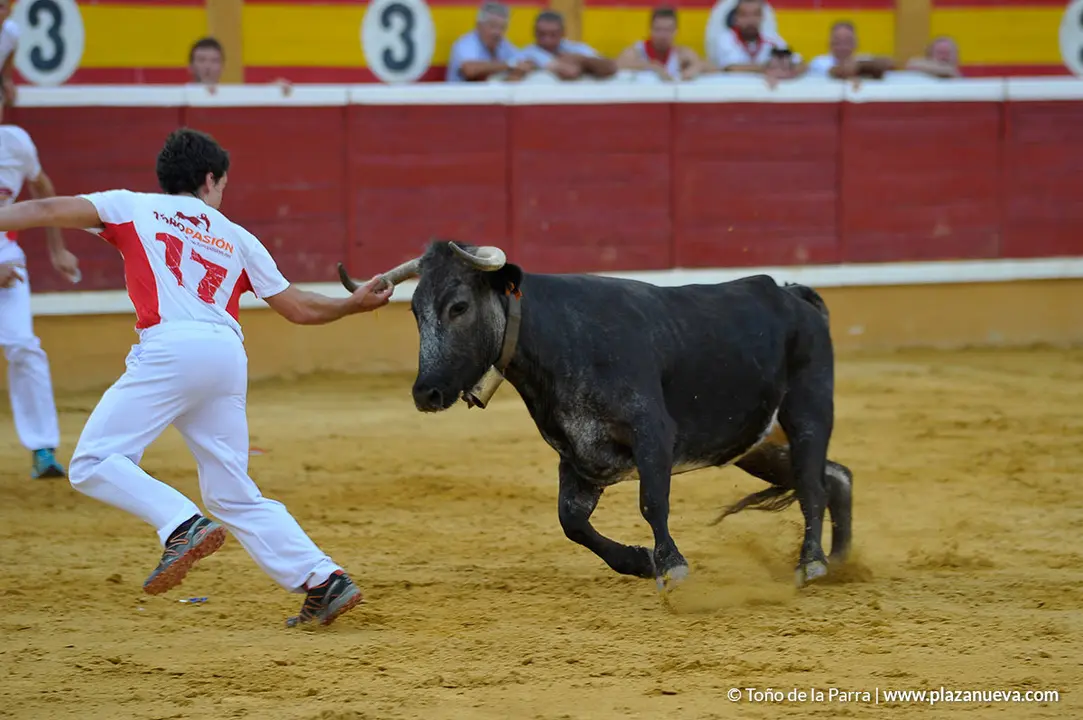 180726_FIESTAS03_59184