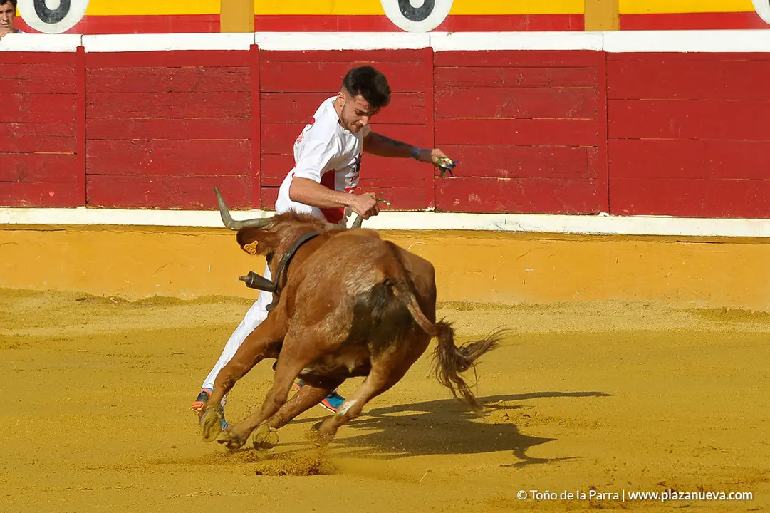 180726_FIESTAS03_58790