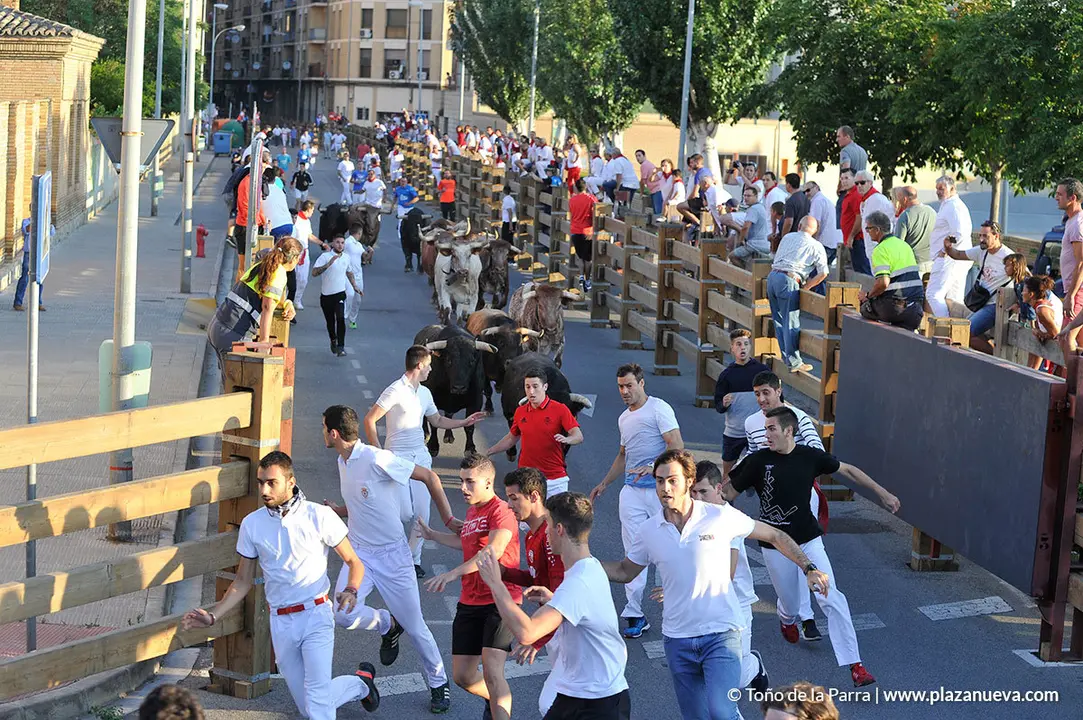 180730_FIESTAS01_64778